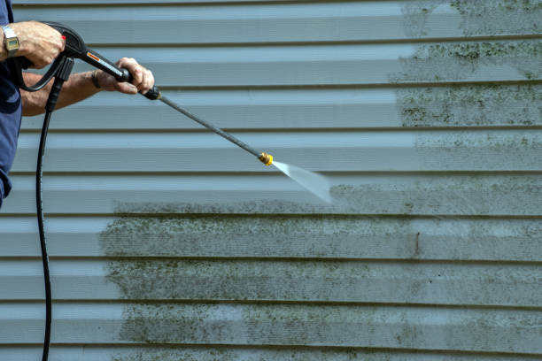 Best Gutter Cleaning  in Ojus, FL