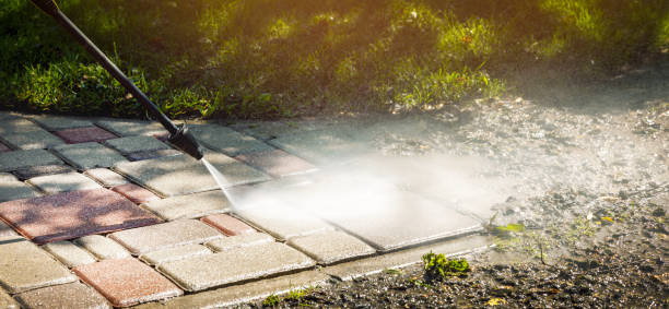 Best Solar Panel Cleaning  in Ojus, FL